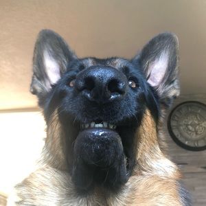 Meet your Posher, Mitchell